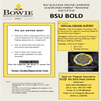 BOLD Final Flyer E-3.png
